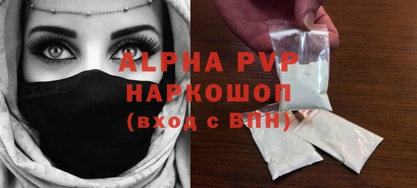 хмурый Гусь-Хрустальный